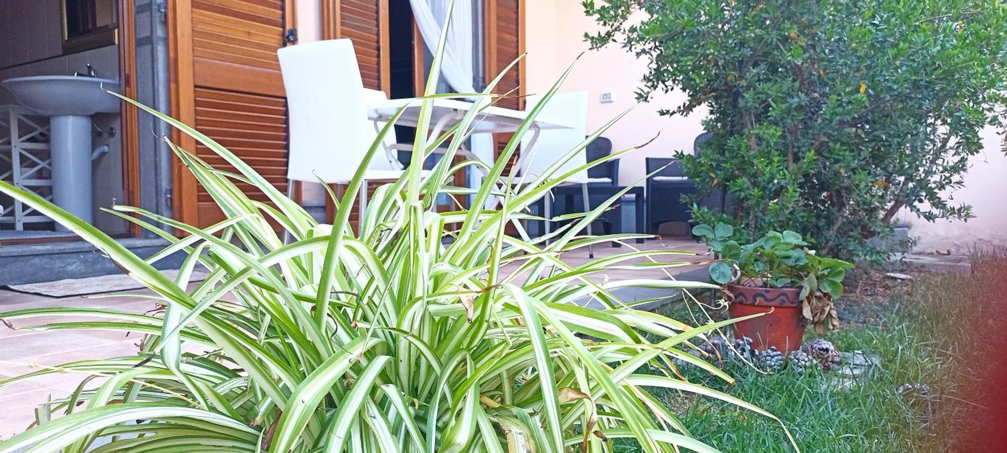 Apartmán Casa Lilla 1 E 2 Oristano Exteriér fotografie